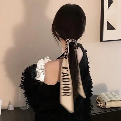 地球队长